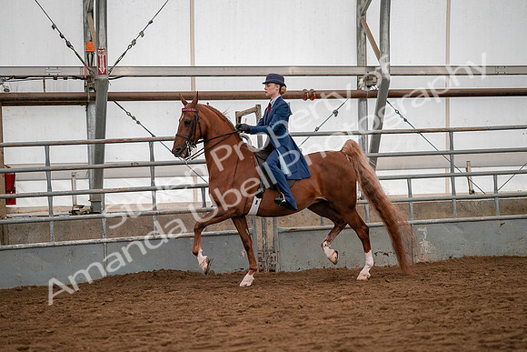 July 19, 2019 - 10229