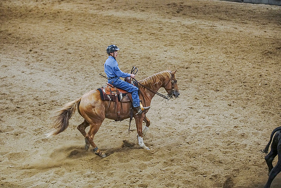 DSC09379