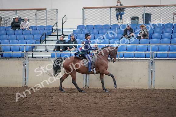 2019 Morgan Horse Show - Aug 31, 2019 - 09690