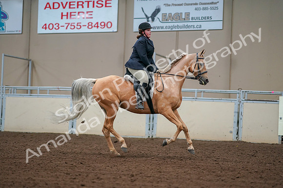 2019 Morgan Horse Show - Aug 30, 2019 - 16428