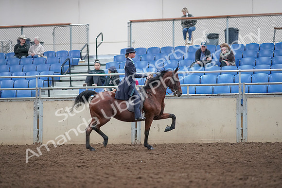 2019 Morgan Horse Show - Aug 31, 2019 - 09598