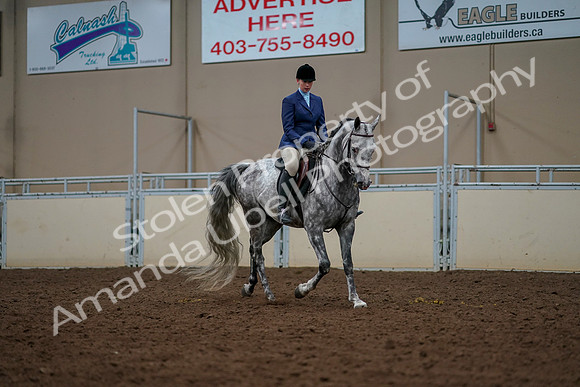 2019 Morgan Horse Show - Aug 30, 2019 - 22629