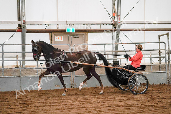 July 19, 2019 - 6986