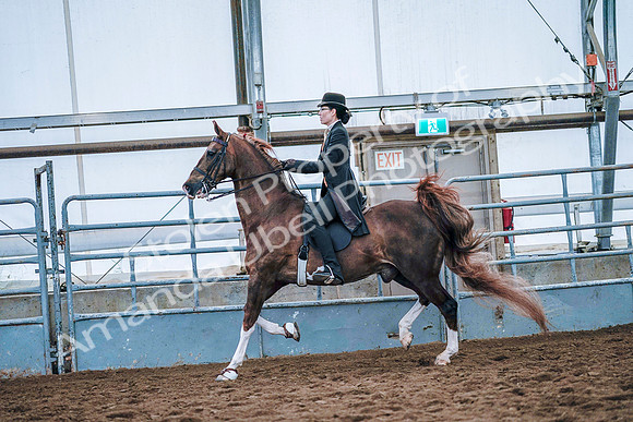 July 20, 2019 - 23942