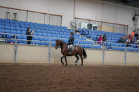 2019 Morgan Horse Show - Aug 30, 2019 - 12661