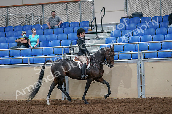 2020 - AB Morgan Horse - Fri, Sept 04 - 06043