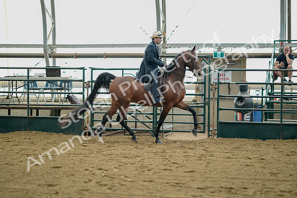 July 21, 2019 - 01726
