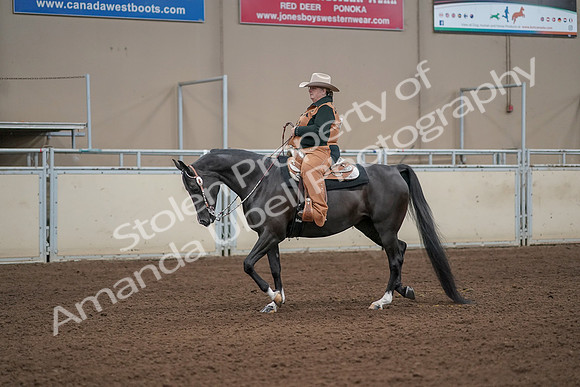 2019 Morgan Horse Show - Aug 31, 2019 - 06053