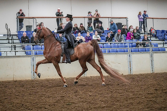 Spring Fling - Saturday - April 20, 2019  -  04113