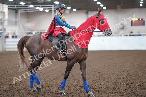 2019 Morgan Horse Show - Aug 31, 2019 - 10002