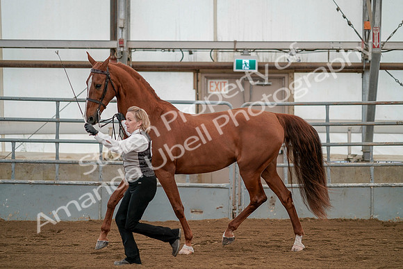 July 19, 2019 - 1370