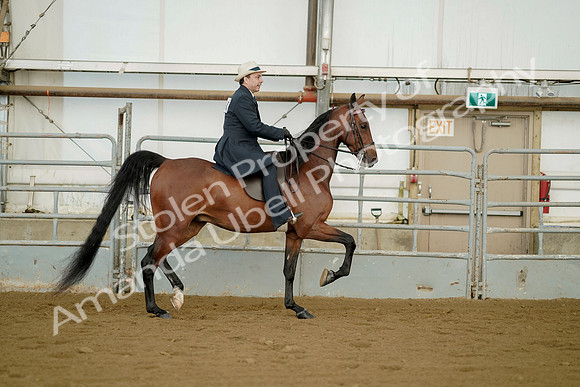 July 21, 2019 - 01819