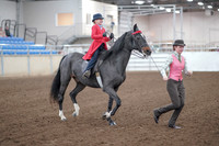 2019 Morgan Horse Show - Sept 01, 2019 - 10684