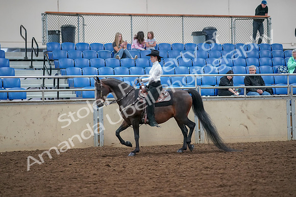 2019 Morgan Horse Show - Aug 30, 2019 - 16765