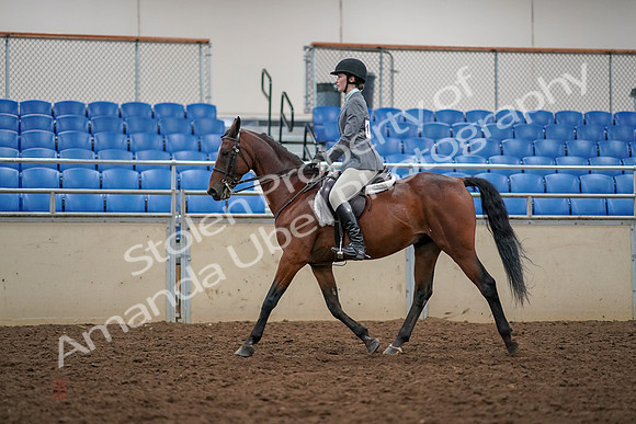 2019 Morgan Horse Show - Aug 30, 2019 - 23370