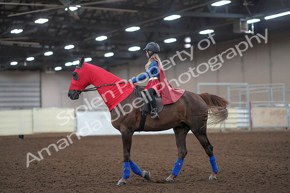 2019 Morgan Horse Show - Aug 31, 2019 - 10074