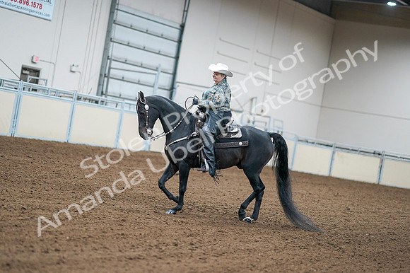 2020 - AB Morgan Horse - Fri, Sept 04 - 03588