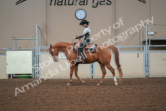 2019 Morgan Horse Show - Aug 30, 2019 - 16792