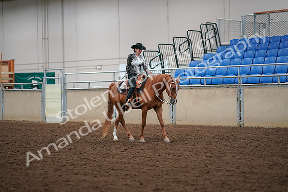 2019 Morgan Horse Show - Aug 30, 2019 - 17089