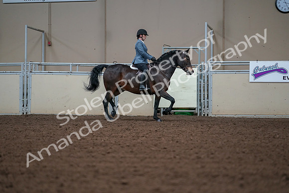 2019 Morgan Horse Show - Aug 30, 2019 - 18518