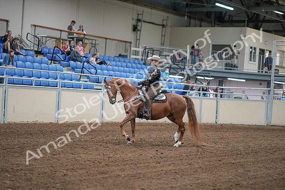 2020 - AB Morgan Horse - Fri, Sept 04 - 08322