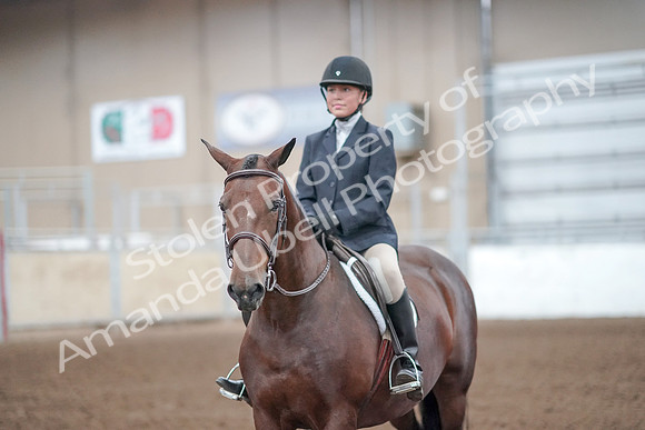 2019 Morgan Horse Show - Aug 31, 2019 - 19733