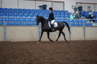 2019 Morgan Horse Show - Aug 30, 2019 - 18290