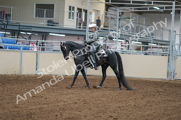 2020 - AB Morgan Horse - Fri, Sept 04 - 03501