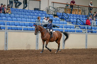 2020 - AB Morgan Horse - Sat, Sept 05 - 01744