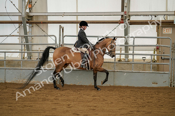 July 20, 2019 - 01560