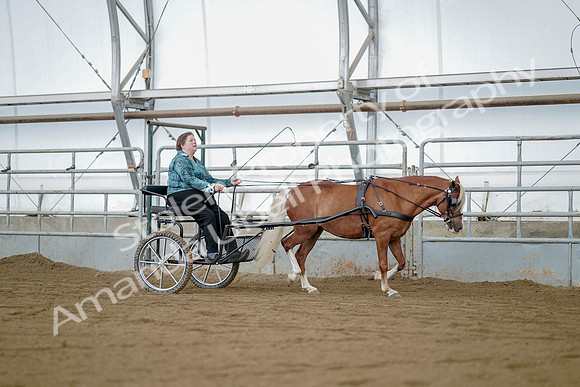 July 21, 2019 - 05988