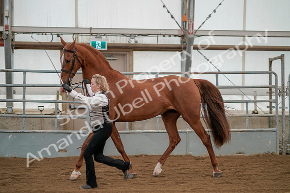 July 19, 2019 - 1364
