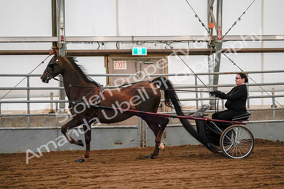 July 19, 2019 - 7045