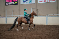 2019 Morgan Horse Show - Aug 30, 2019 - 30632