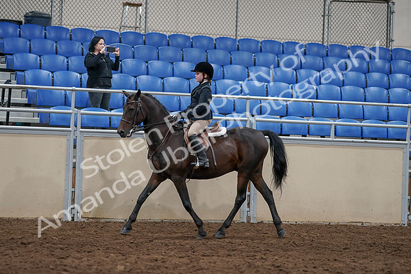 2020 - AB Morgan Horse - Sun, Sept 06 - 07822
