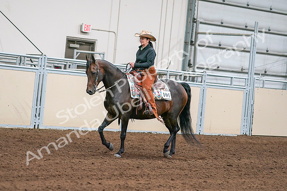 2020 - AB Morgan Horse - Sun, Sept 06 - 01542