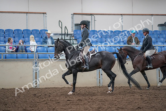 2019 Morgan Horse Show - Aug 31, 2019 - 14987