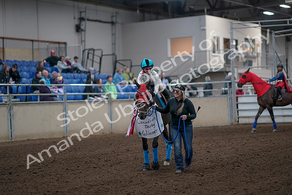 2019 Morgan Horse Show - Aug 31, 2019 - 09966