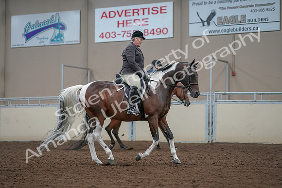 2019 Morgan Horse Show - Aug 30, 2019 - 16442