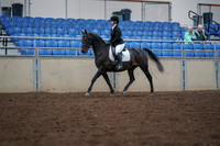 2019 Morgan Horse Show - Aug 30, 2019 - 18295