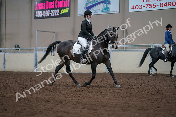 2019 Morgan Horse Show - Aug 30, 2019 - 18472