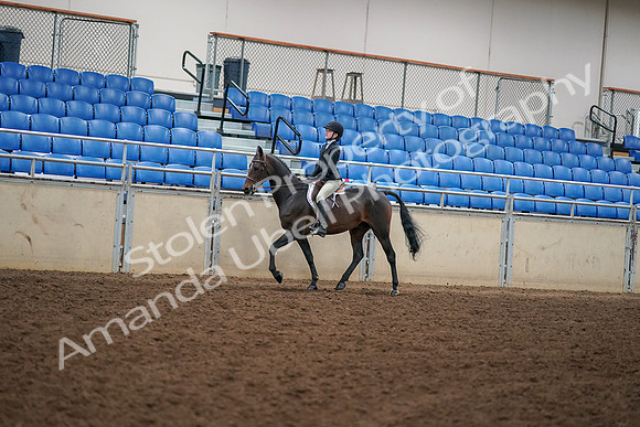 2019 Morgan Horse Show - Aug 30, 2019 - 12246