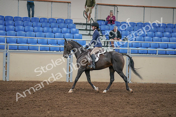 2020 - AB Morgan Horse - Sat, Sept 05 - 01170