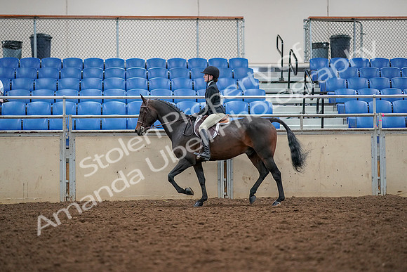 2019 Morgan Horse Show - Aug 30, 2019 - 23137
