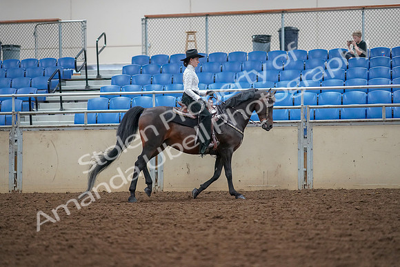 2019 Morgan Horse Show - Aug 30, 2019 - 16961