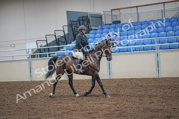 2020 - AB Morgan Horse - Sat, Sept 05 - 09351