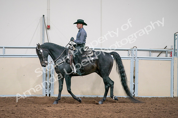 2020 - AB Morgan Horse - Fri, Sept 04 - 08550