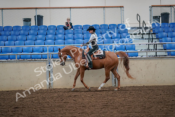 2019 Morgan Horse Show - Aug 30, 2019 - 16857