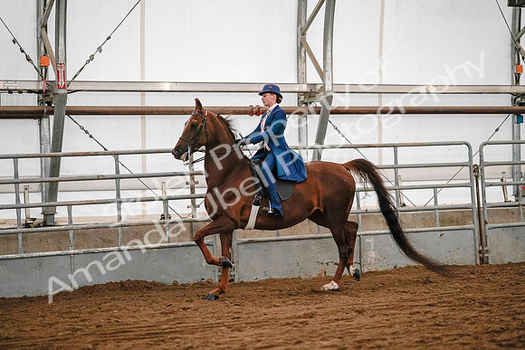 July 19, 2019 - 8949