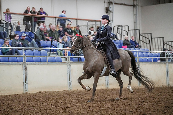 Spring Fling - Saturday - April 20, 2019  -  04120